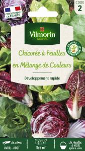 Chicorée à Feuilles en mélange